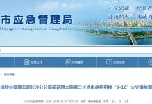 国产精品久久久久久久毛片,探寻久久久久久久毛片的魅力与内涵